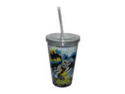 Batman Acrylic Tumbler Cup with Straw