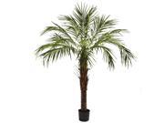 6ft Robellini Palm Tree