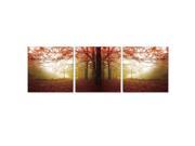 Furinno SENIC Autumn Leaves 3 Panel Acrylic Photography 60 x 20 in
