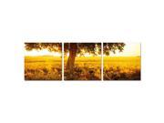 Furinno SENIK Africa Sunrise 3 Panel MDF Framed Photography Triptych Print 72 x 24 Inches