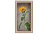 Sunflower II Sunflower II