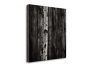 Equilibrium by Jamie Cook, Gallery Wrap Canvas Art printed on heavy museum grade canvas. Equilibrium by Jamie Cook, Gallery Wrap Canvas Art printed on heavy museum grade canvas.