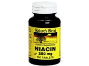 Nature s Blend Niacin 250 mg Tablets 100 ct
