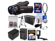 Sony Handycam HDR CX900 Wi Fi HD Video Camera Camcorder with 64GB Card Case LED Light Battery Charger Tripod Filter Kit