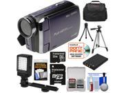Bell Howell DV30HD 1080p HD Video Camera Camcorder Purple with 32GB Card Battery Case Tripods LED Video Light Kit