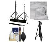 RPS Studio 10 x 10 ft. Portable Background Stand with Bag with Muslin Background Gray Fog Tripod Cleaning Kit