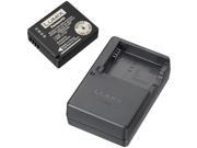 Panasonic DMW ZSTRV DMW BLG10 Rechargeable Battery Charger Pack