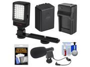 Essentials Bundle for Panasonic V770 VX981 WX970 WXF991 Camcorder with LED Video Light Microphone Battery Charger Kit