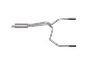 Gibson 69507 Cat Back Performance Exhaust System Dual Split Rear