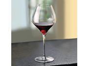 Riedel Vitis Pinot Noir Set of 2