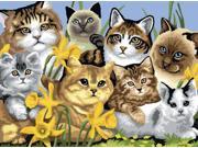 Junior Large Paint By Number Kit 15.25 X11.25 Cats Montage
