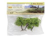 Lemon Trees 2.25 To 2.5 3 Pkg