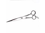 Ice Tempered Salon Supplies Grooming Hair Styling Cutting Scissors