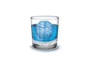 Fun Freeze Brain Shaped Ice Cube Tray Makes 4 Cubes