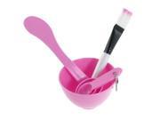 Pink 4 in 1 DIY Homemade Mask Mixing Bowl Spoons Brush Appliances Set Makeup