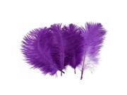 10pcs Home Decor Purple Ostrich Feathers Purple