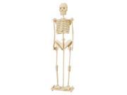 New Child Assemble Human Skeleton Model 3D Wood Puzzle Toy Construction Kit