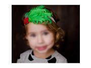 Unusal Girls Baby Green Feather Hairband with Red Rose Headband