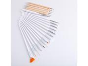 Nail Art Design Painting Detailing Brushes Dotting Pen Tool Kit Set 15 Brush 5 Dotting Pen