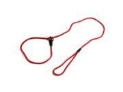 Nylon Rope Dog whisperer Style Slip Train Leash Lead Collar Red