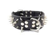 Leather Spiked Studded Dog Collar 2 Wide 25 Spikes 44 Studs