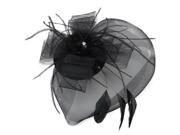 Black Feather Veil Hair Clip Mini Top Hat Party Cosplay