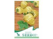 Seeds White Strawberry Delicious Rare palatable Fruit Seed