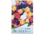 1 Bag 20 Seeds Colorful sweet pepper Ornamental