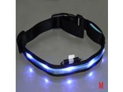 LED Flashing Safety Dog Pet Light Nylon Plain Collar Tag Blue M