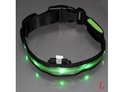 LED Flashing Safety Dog Pet Light Nylon Plain Collar Tag Green L