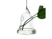 THZY European Creative hanging vase glass vase hydroponic home fashion jewelry ornaments Large bell Shape