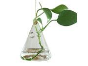 THZY European Creative hanging vase glass vase hydroponic home fashion jewelry ornaments Flat bottom conical