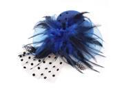 Ladies Blue Bowknot Feather Mesh Veil Hat Style Alligator Hair Clip