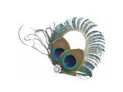 Circle Design Peacock Feather Hair Clips