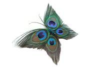 Peacock Feather Hair Clip Butterfly Stylish