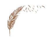 Right flying feather wall stickers home decor home decoration wallpaper wall sticker Brown