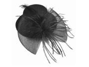SODIAL Black Mesh Bowknot Feather Decor Mini Top Hat Alligator Hair Clip