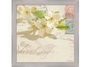 Vintage Letter and Apple Blossoms by Deborah Schenck Framed Art Size 17 X 17