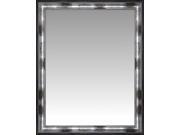 Acid Wash Silver Gilded Large Wall Mirror Portrait Size 27.75 X 33.75