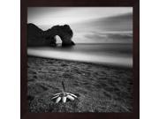 Durdle Feather by Nina Papiorek Framed Art, Size 13.25 X 13.25 Durdle Feather by Nina Papiorek Framed Art, Size 13.25 X 13.25