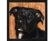 Puppy Dog Eyes I by Walt Johnston Framed Art Size 13.25 X 13.25