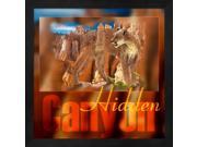 Hidden Canyon 1 by Gordon Semmens Framed Art Size 13.25 X 13.25