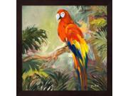 Parrots at Bay I by Jane Slivka Framed Art Size 13.25 X 13.25