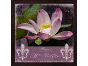 Lotus Bloom by Andrea Haase Framed Art Size 13.25 X 13.25