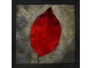 Red Dogwood by John W. Golden Framed Art, Size 13.25 X 13.25 Red Dogwood by John W. Golden Framed Art, Size 13.25 X 13.25