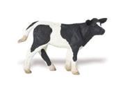 Holstein Calf Farm Animal