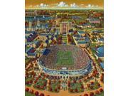 Fighting Irish Of Notre Dame 125 Years Of Football Stadium 500 Piece Puzzle