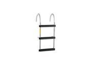 Garelick Stainless Steel Ladder with Hook