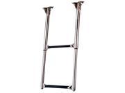 Garelick Out of Sight Telescoping Ladder
