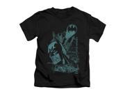 Batman Little Boys Gritted Teeth Childrens T shirt 4 Black